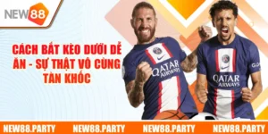 Cách Bắt Kèo Dưới Dễ Ăn - Sự Thật Vô Cùng Tàn Khốc