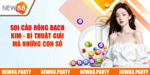 Soi Cầu Rồng Bạch Kim - Bí Thuật Giải Mã Những Con Số