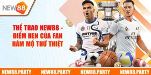 Thể Thao New88 - Điểm Hẹn Của Fan Hâm Mộ Thứ Thiệt