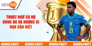 Thuật Ngữ Cá Độ Bóng Đá - Nắm Vững Cùng Chuyên Gia New88