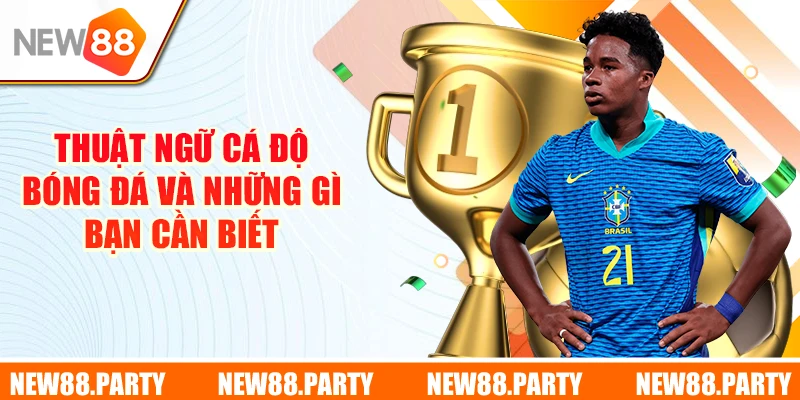 Thuật Ngữ Cá Độ Bóng Đá - Nắm Vững Cùng Chuyên Gia New88