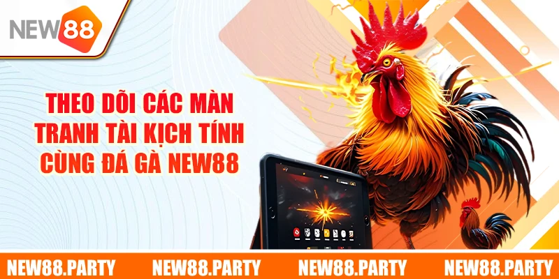 Theo dõi các màn tranh tài kịch tính cùng đá gà New88