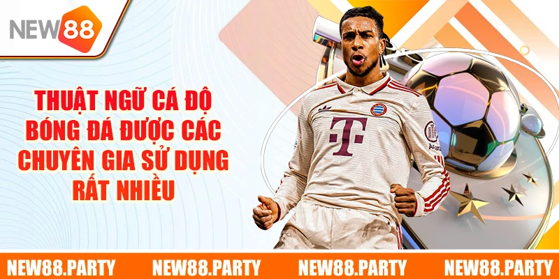 Thuật ngữ cá độ bóng đá được các chuyên gia sử dụng rất nhiều