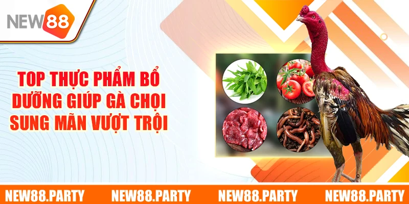 Top thực phẩm bổ dưỡng giúp gà chọi sung mãn vượt trội