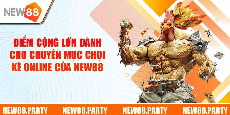 Điểm cộng lớn dành cho chuyên mục chọi kê online của New88