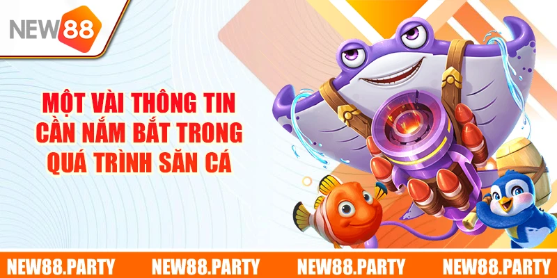 Một vài thông tin cần nắm bắt trong quá trình săn cá